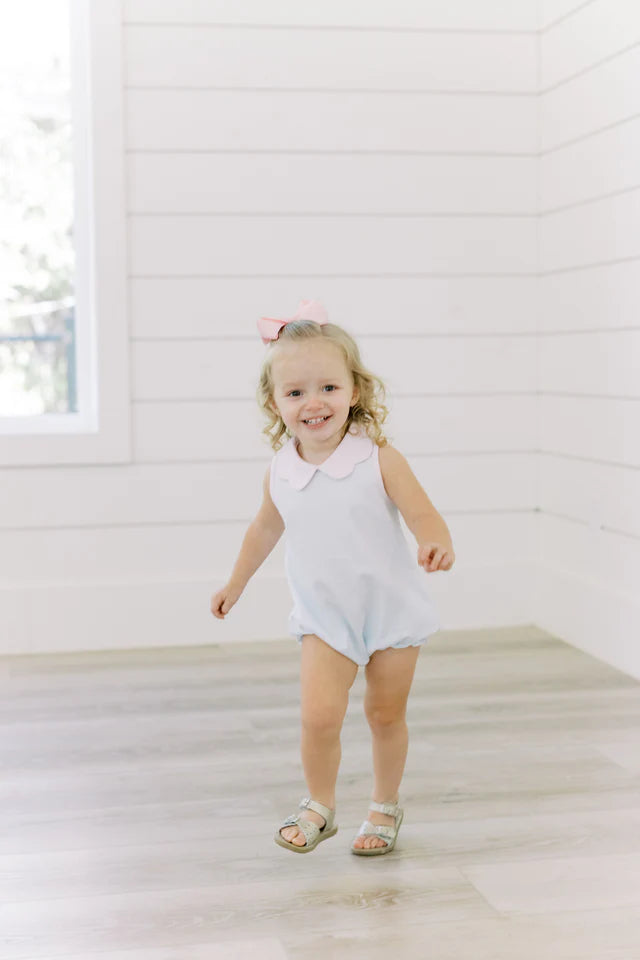 scallop bubble light blue stripe