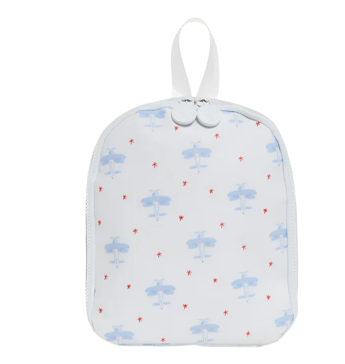 bring it bag/david's airplane