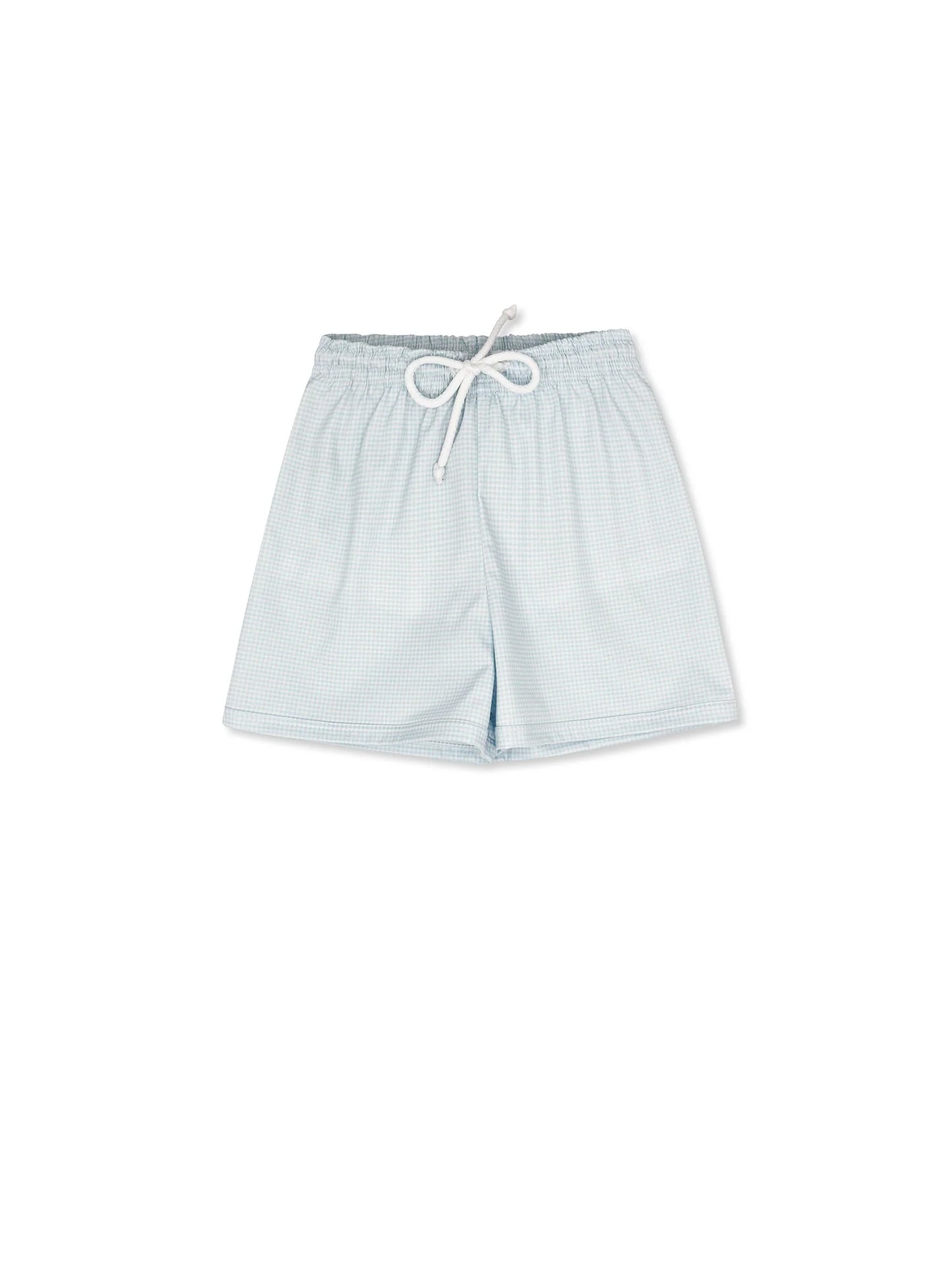 barnes bathing suit- baby blue minigingham