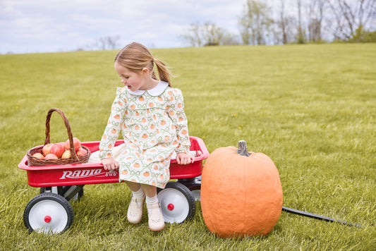 evelyn dress/pumpkin trellis