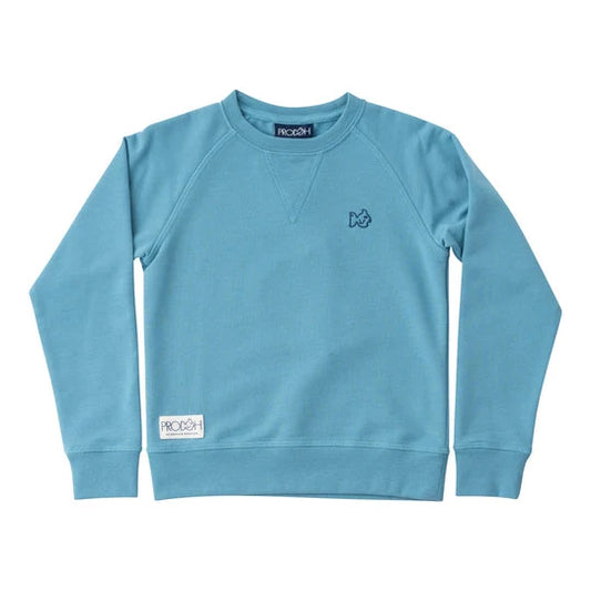 clear sky sweatshirt