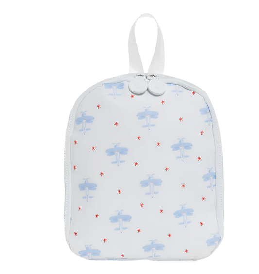 bring it bag/david's airplane